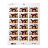Irish Setter 1900 Illustration of Sporting Dog Etiket (Full Sheet)