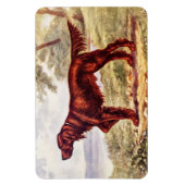 Irish Setter 1900 Illustration of Sporting Dog Magneet (Verticaal)