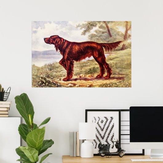 Irish Setter 1900 Illustration of Sporting Dog Poster (Thuiskantoor)