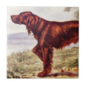 Irish Setter 1900 Illustration of Sporting Dog Tegeltje (Voorkant)