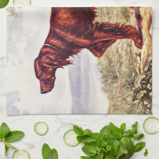 Irish Setter 1900 Illustration of Sporting Dog Theedoek (Gevouwen)