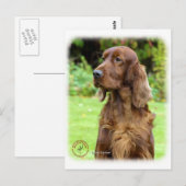 Irish Setter 9T004D-286 Briefkaart (Voorkant / Achterkant)