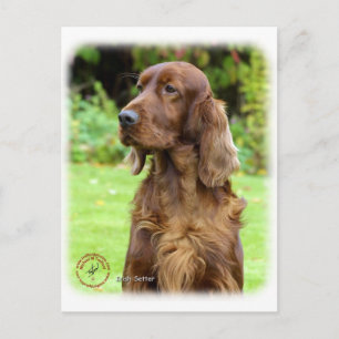 Irish Setter 9T004D-286 Briefkaart