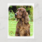 Irish Setter 9T004D-286 Briefkaart (Voorkant)
