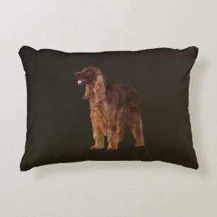 Irish Setter Accent Kussen