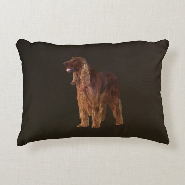 Irish Setter Accent Kussen (Voorkant)