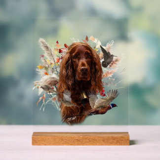  Irish  Setter Acryl Bord