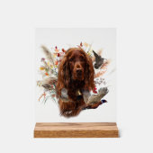 Irish Setter Acryl Bord (Voorkant)