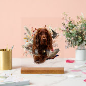 Irish Setter Acryl Bord (Huwelijk)
