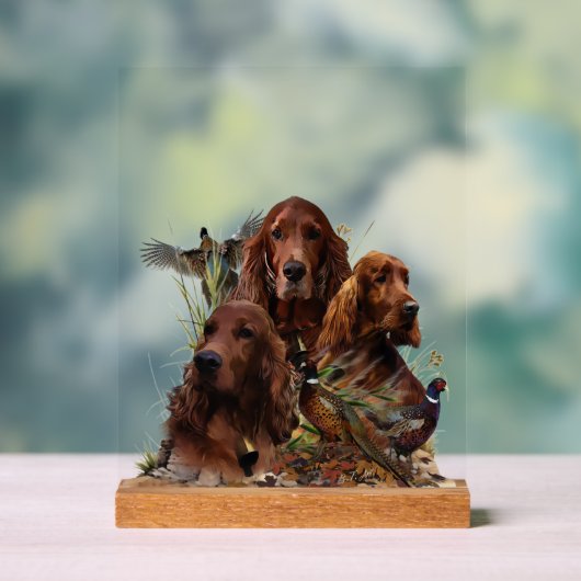 Irish Setter Acryl Bord (Neutraal)