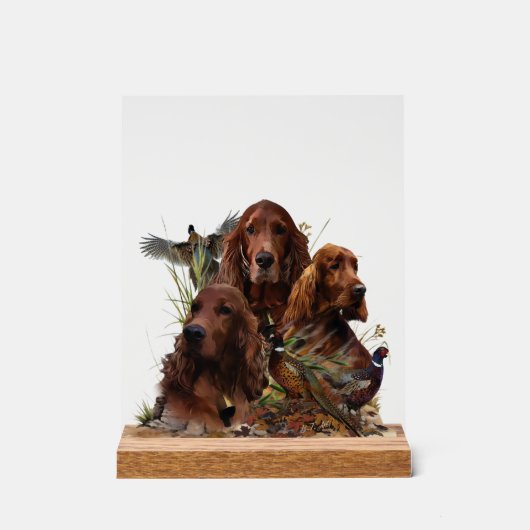  Irish  Setter Acryl Bord (Voorkant)