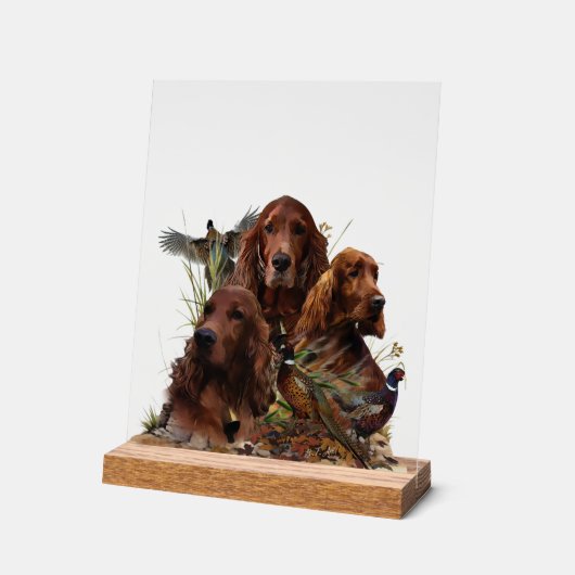  Irish  Setter Acryl Bord (Hoek)