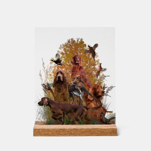 Irish Setter Acryl Bord (Voorkant)