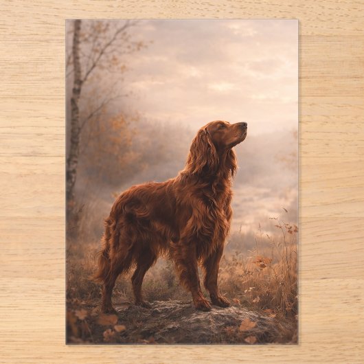 Irish Setter Acryl Uitnodigingen (Voorkant)