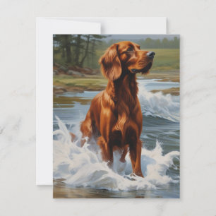 Irish Setter Bedankkaart