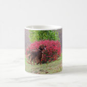 Irish Setter beroemd gemaakt door Burning Struik Koffiemok (Center)