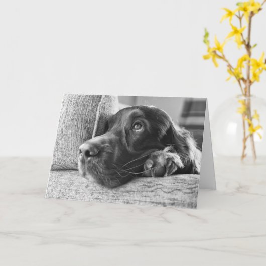 Irish Setter Blank Kaart (Gele Bloem)