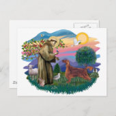 Irish Setter Briefkaart (Voorkant / Achterkant)