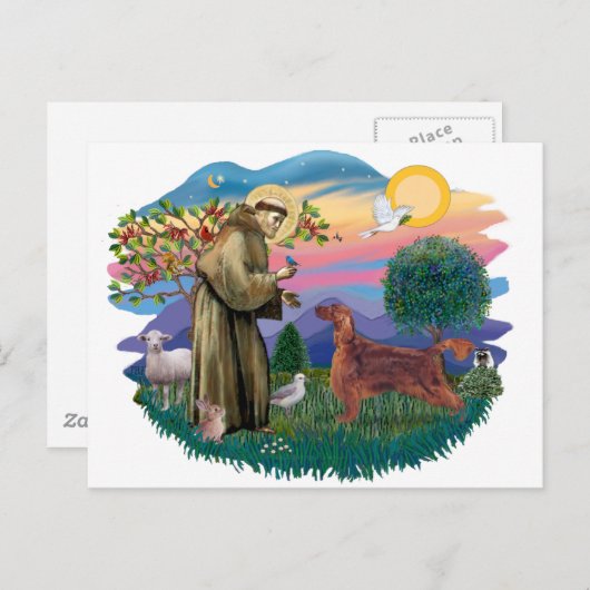 Irish Setter Briefkaart (Voorkant / Achterkant)