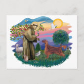 Irish Setter Briefkaart (Voorkant)