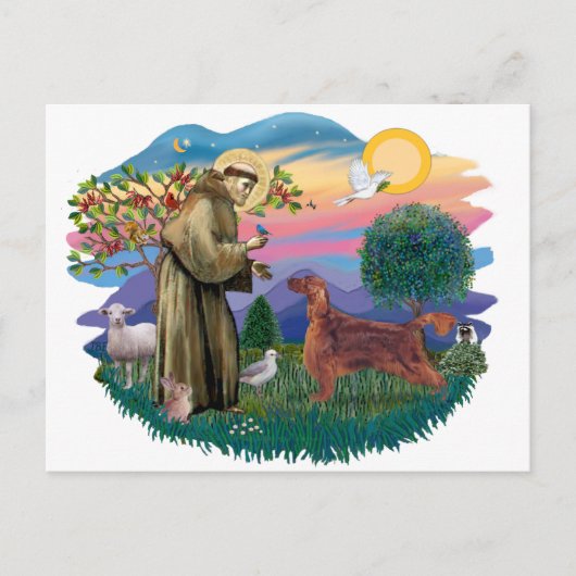 Irish Setter Briefkaart (Voorkant)