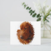 Irish Setter Briefkaart (Staand voorkant)