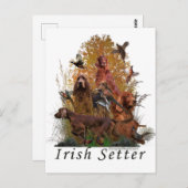 Irish Setter Briefkaart (Voorkant / Achterkant)