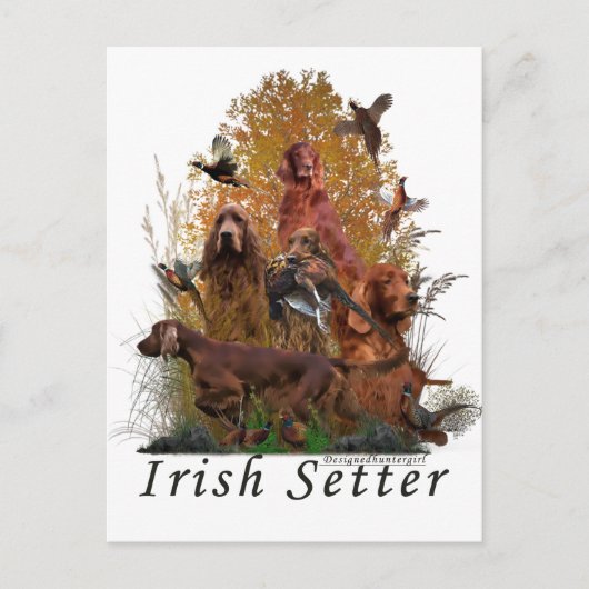 Irish Setter Briefkaart (Voorkant)