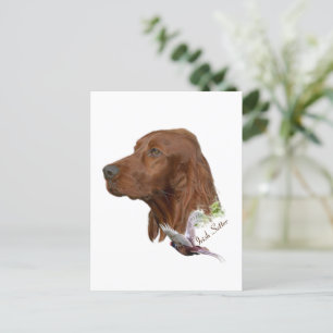 Irish Setter Briefkaart