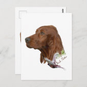 Irish Setter Briefkaart (Voorkant / Achterkant)