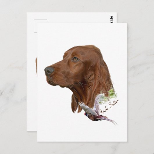 Irish Setter Briefkaart (Voorkant / Achterkant)