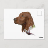 Irish Setter Briefkaart (Achterkant)