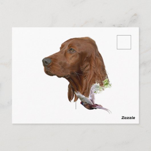 Irish Setter Briefkaart (Achterkant)