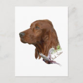 Irish Setter Briefkaart (Voorkant)