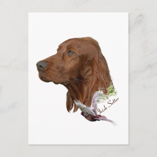 Irish Setter Briefkaart (Voorkant)