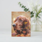 Irish Setter Briefkaart (Staand voorkant)