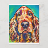 Irish Setter Briefkaart (Voorkant)