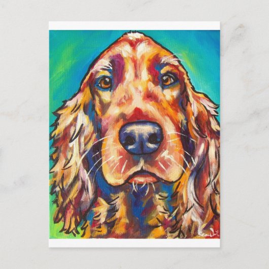 Irish Setter Briefkaart (Voorkant)