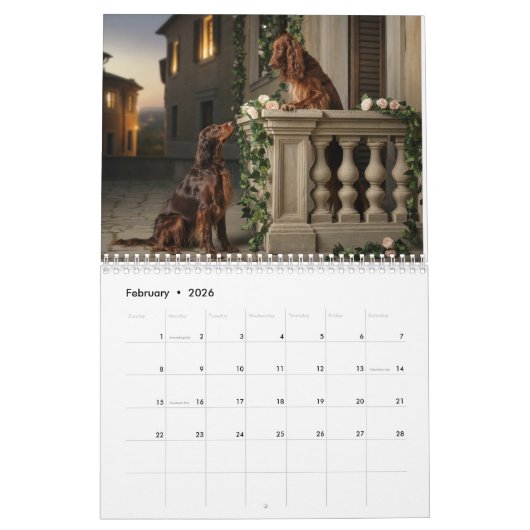 Irish Setter Calendar Kalender (Feb 2026)