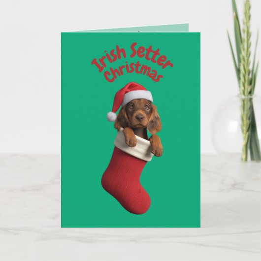 Irish Setter Christmas Stocking Kaart (Voorkant)