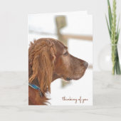 Irish Setter-denken van u Kaart (Voorkant)