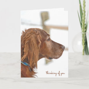 Irish Setter-denken van u Kaart