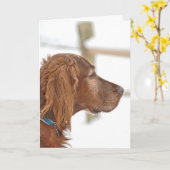 Irish Setter-denken van u Kaart (Gele Bloem)
