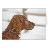 Irish Setter denkt aan jou (Voorkant Horizontaal)