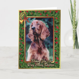 Irish Setter Dog Blank met kerstkaart Feestdagen Kaart