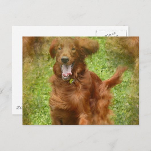 Irish Setter Dog Briefkaart (Voorkant / Achterkant)