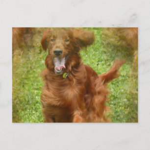 Irish Setter Dog Briefkaart