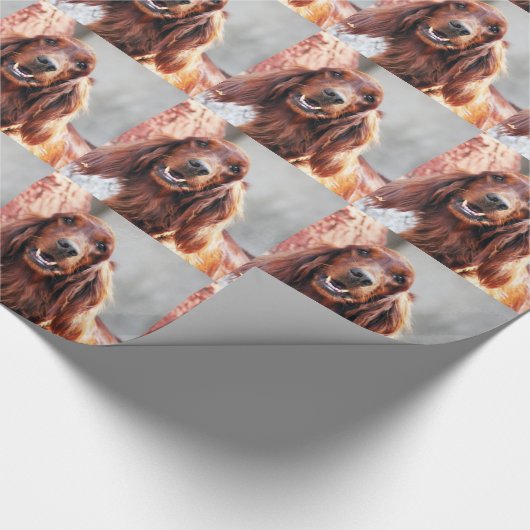 Irish Setter Dog Cadeaupapier (Hoek)