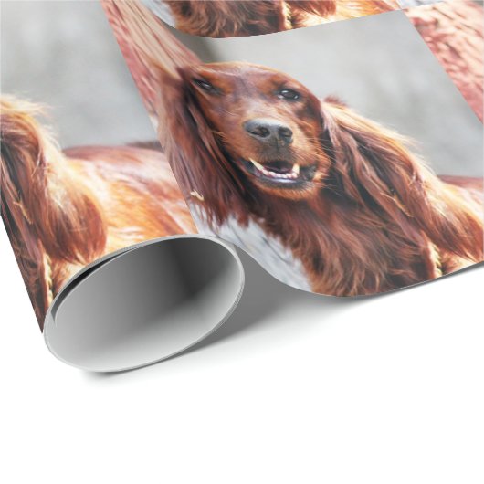 Irish Setter Dog Cadeaupapier (Rol Hoek)