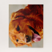 Irish Setter Dog. Legpuzzel (Verticaal)